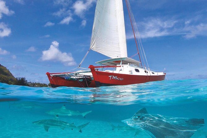 Half Day Tour : Moorea Snorkeling & Sailing on a Catamaran named Taboo - Exploring Moorea with the Snorkeling & Sailing on the Catamaran Taboo