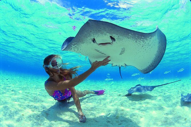 Half Day Tour : Moorea Snorkeling & Sailing on a Catamaran named Taboo - The Sum Up