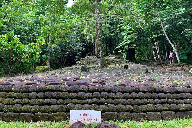 Half-Day Tour of Moorea Island in a Small Group - An In-Depth Look at the Tour Experience