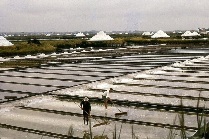 Half-day Tour of Portuguese Venice - Aveiro City - The Sum Up