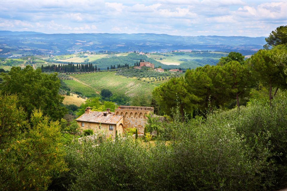 Half-Day Tour of San Gimignano From Florence - Key Points