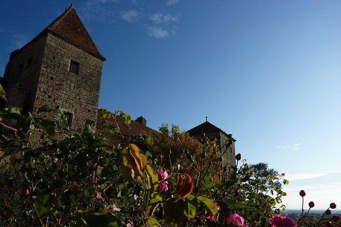 Half Day Tour of the Cote De Nuits Vineyards From Dijon - Tour Duration and Timing