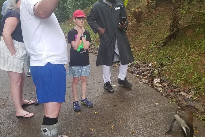 Half Day Tour - Popular Sites in Grenada, Forest Reserve,Spice Market,Waterfalls - Overview of the Half Day Tour