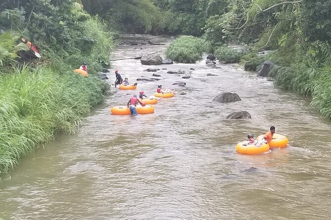 Half Day Tour - Popular Sites in Grenada, Forest Reserve,Spice Market,Waterfalls - Transportation and Accessibility Features