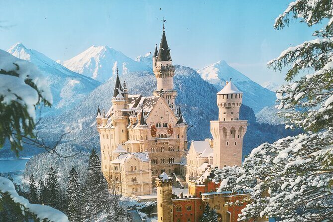 Half day tour private from Munich to Neuschwanstein Castle - What Travelers Say: The Honest Reviews 