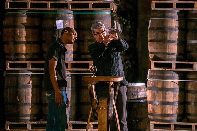 Half-Day Tour: Ron Barceló Factory Experience from Santo Domingo - Key Points