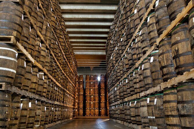 Half-Day Tour: Ron Barceló Factory Experience from Santo Domingo - Exploring the Tour Itinerary in Depth