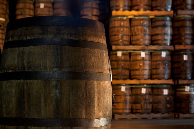 Half-Day Tour: Ron Barceló Factory Experience from Santo Domingo - Who Will Love This Tour