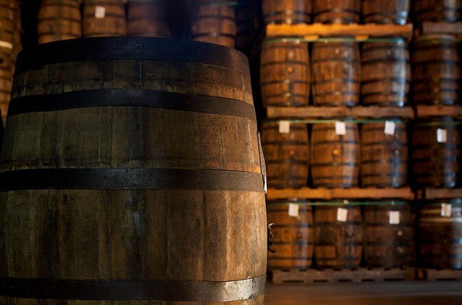 Half-Day Tour: Ron Barceló Factory Experience from Santo Domingo - Final Thoughts