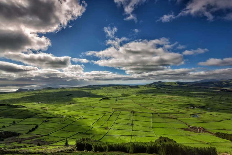 Half-day tour: Sierra del Cume and East Coast - Final Words