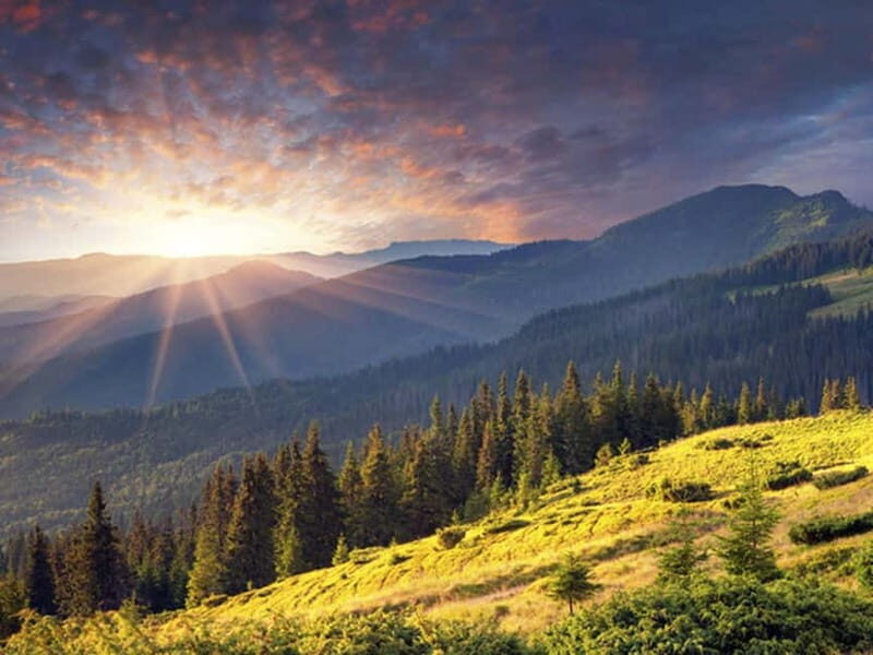 Half Day Tour - Sofia and the mountains with Thermal Spa - FAQs