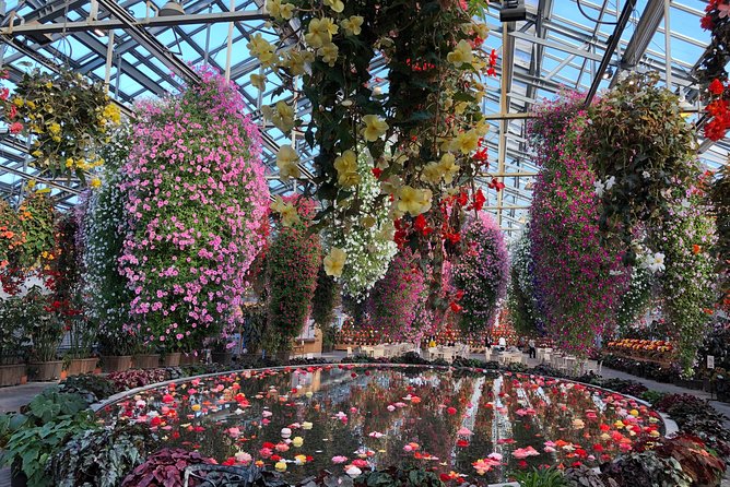 Half-Day Tour to Enjoy Japans Largest Illumination and Outlet - Transportation Details
