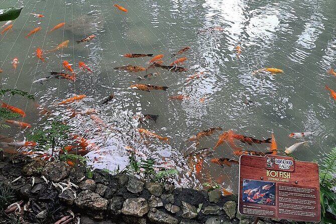 Half Day Tour to Konoko Gardens and Blue Hole Ocho Rios - Authentic Experiences and Authenticity