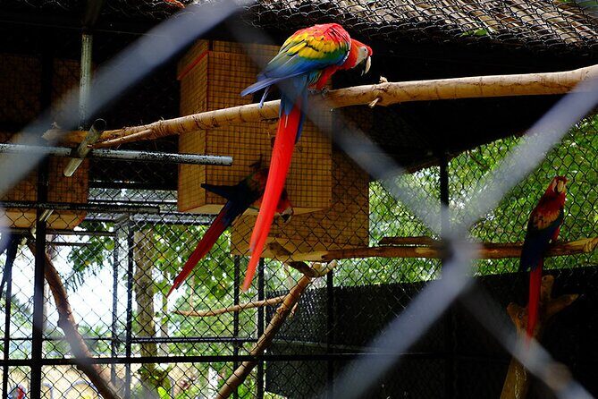 Half Day Tour to Konoko Gardens and Blue Hole Ocho Rios - The Sum Up