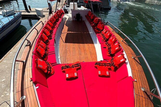 Half-Day Tour to Marietas Islands, Playa Nopalera by Speedboat - The Sum Up