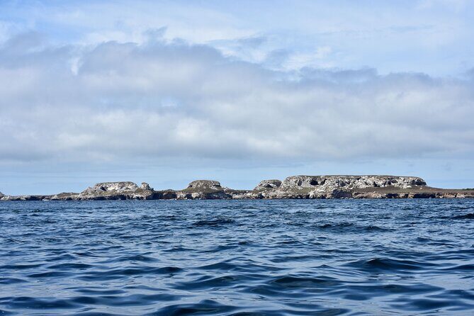 Half-Day Tour to Marietas Islands, Playa Nopalera by Speedboat - FAQ