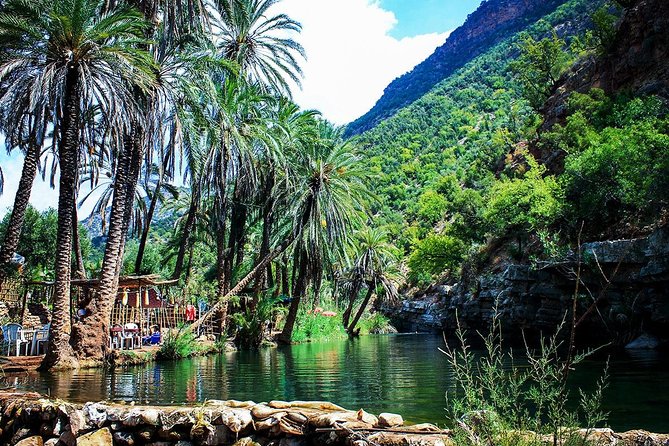 Half-Day Tour to Paradise Valley From Agadir - Pricing and Cancellation Policy