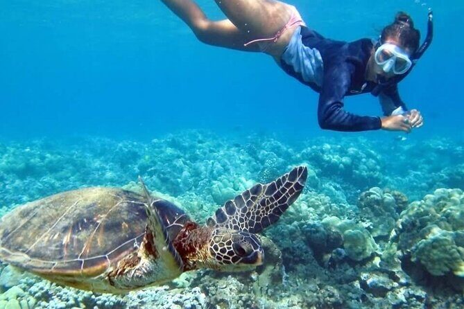 Half Day Tour to Tulum with Snorkel and Cenote from Riviera Maya - Practical Details: What’s Included and What’s Not