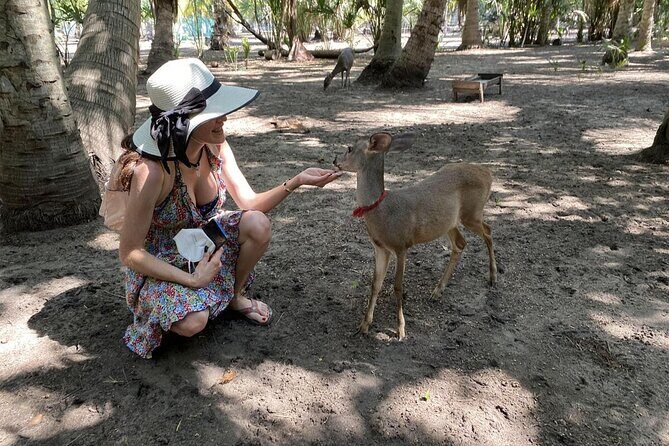 Half-Day Tour to Ventanilla, Mazunte, Zipolite and Puerto Angel - A Practical Look at the Half-Day Tour to Ventanilla, Mazunte, Zipolite, and Puerto Angel