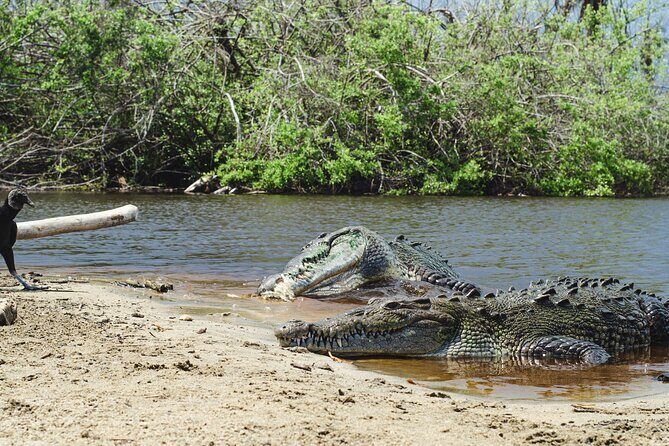 Half-Day Tour to Ventanilla, Mazunte, Zipolite and Puerto Angel - Exploring the Itinerary in Detail