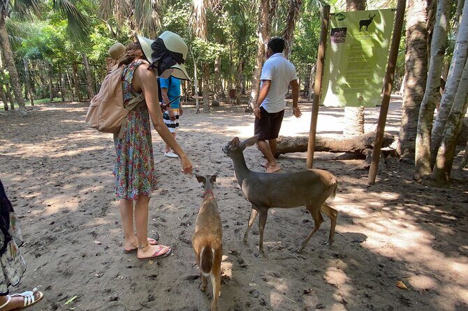 Half-Day Tour to Ventanilla, Mazunte, Zipolite and Puerto Angel - Practical Details and Value