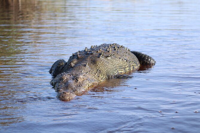 Half-Day Tour to Ventanilla, Mazunte, Zipolite and Puerto Angel - FAQ