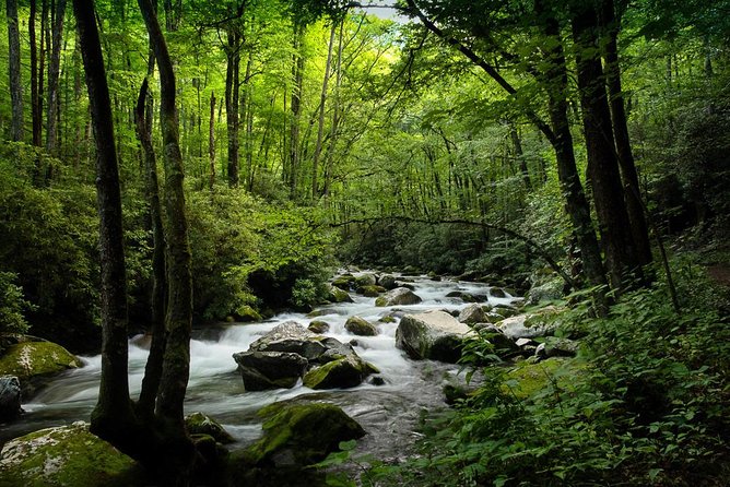 Half-Day Tour With Instruction in Vistas & Waterfall Photography - Customer Reviews and Feedback