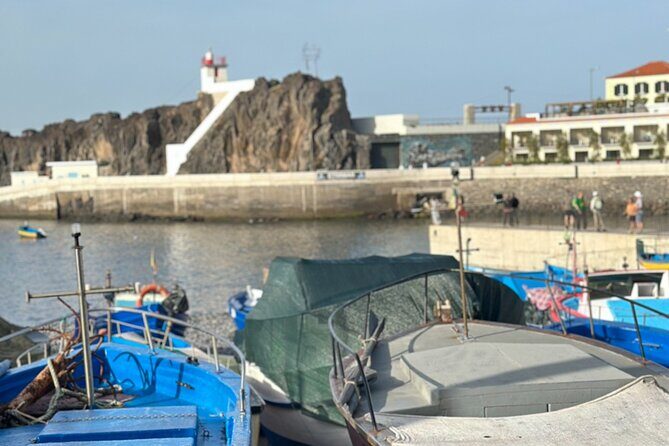 Half Day Tour with Madeira Wine Tasting - Introduction: What’s This Tour All About?