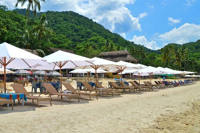 Half Day Tour with Snorkeling in Colomitos and Playa las Animas - Final Thoughts