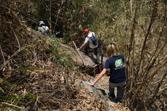 Half Day Trekking Doi Suthep - Pui National Park Area (Private Tour) - Experience Highlights