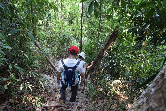 Half Day Trekking Doi Suthep - Pui National Park Area (Private Tour) - Trekking Requirements