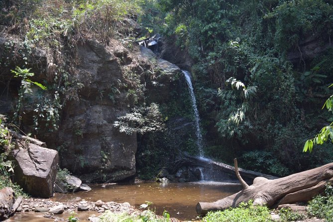 Half Day Trekking Doi Suthep - Pui National Park Area (Private Tour) - What to Expect