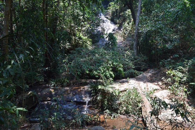 Half Day Trekking Doi Suthep - Pui National Park Area (Private Tour) - Tips for Preparation