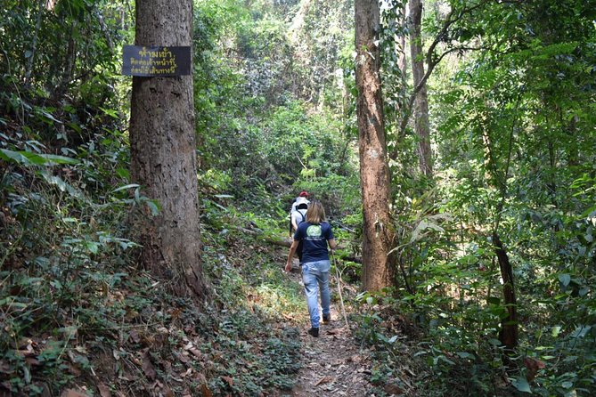 Half Day Trekking Doi Suthep - Pui National Park Area (Private Tour) - Booking Information