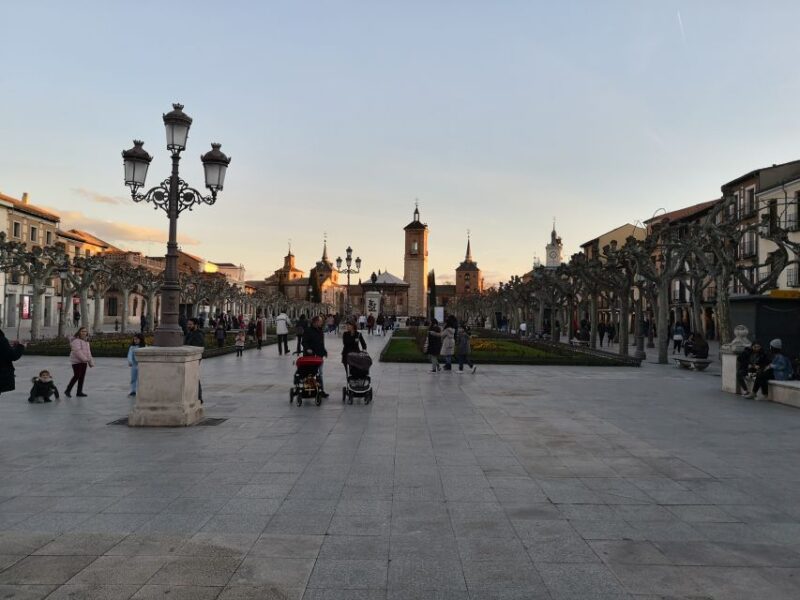 Half-Day Trip From Madrid: Alcalá De Henares & Winery Visit - Transportation and Meeting Details