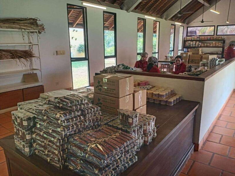 Half Day Trip: Silk Farm, Satcha, and Senteur d'Angkor Tour - An In-Depth Look at the Tour Experience