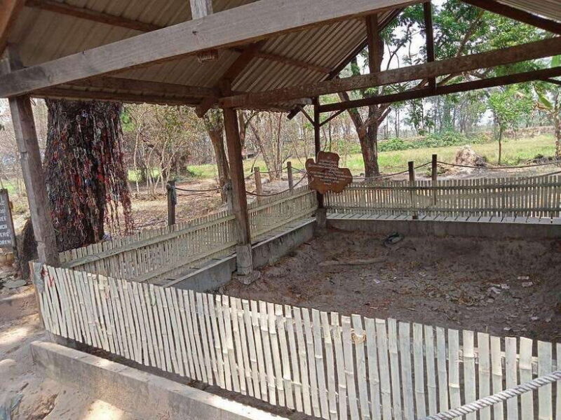 Half Day Trip to S21 Prison Genocidal Museum & Killing Field - What to Expect and Practical Tips