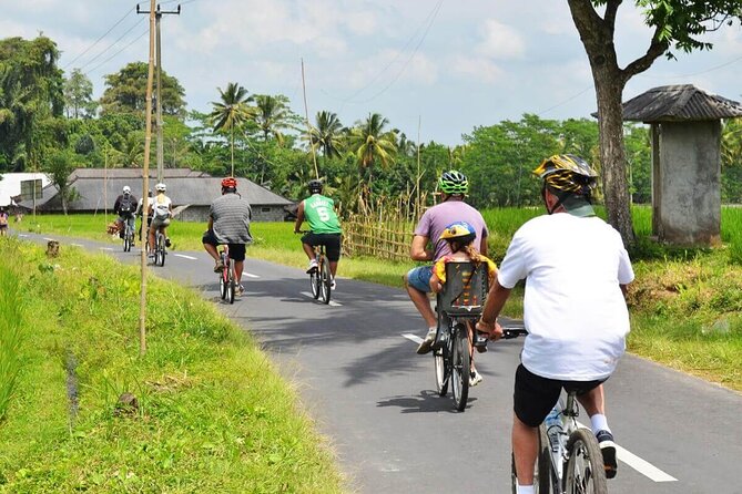 Half-Day Ubud Rice Field and Village Cycling Tour - Included Services