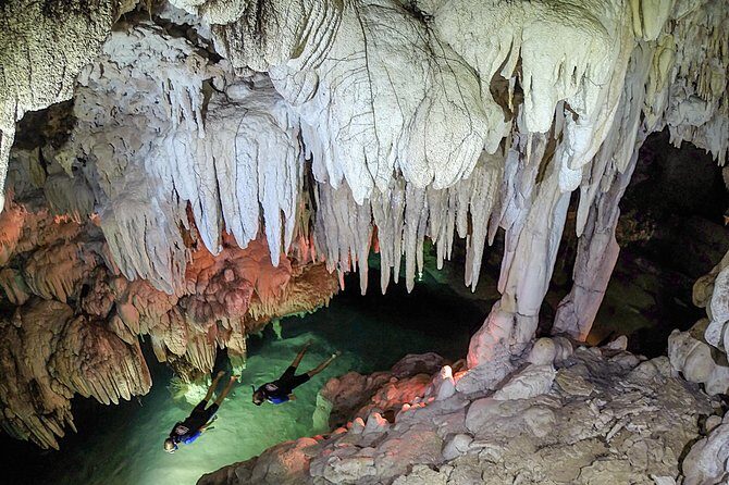 Half-Day Underwater World Tour - Authentic, Knowledgeable Guides