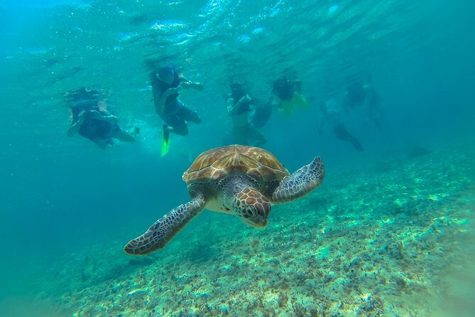 Half-Day Underwater World Tour - Practical Considerations and Booking Tips