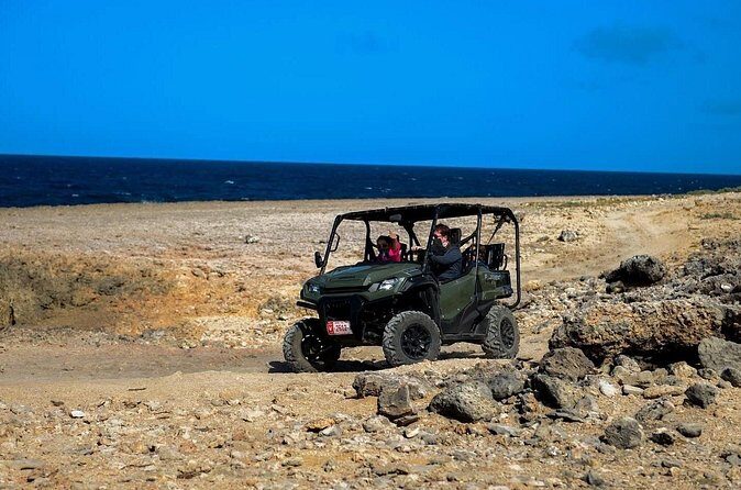 Half Day UTV Rentals - Final Thoughts