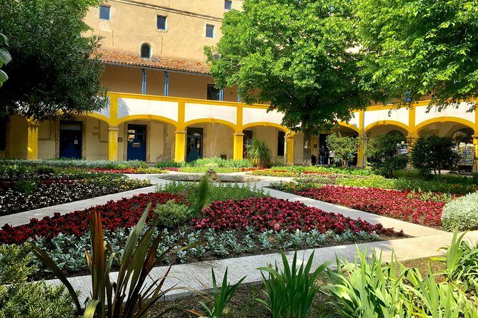 Half-Day Van Gogh Tour of Provence from Avignon - Introduction: Why This Tour Matters