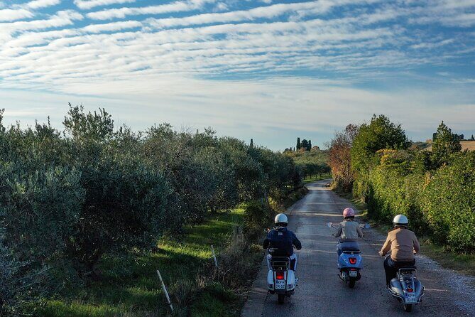 Half Day Vespa Countryside Tour and Tastings in Istria - Who Will Love This Tour?
