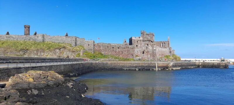 Half Day Viking and Celtic Heritage Tour - Key Points