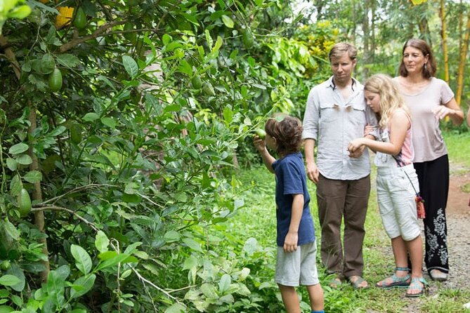 Half Day Village Backwater Eco Country Boat Cruise :Group Tour From Fort Cochin - Inclusions