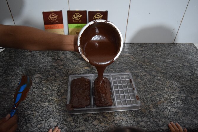 Half Day: Visit to Cocoa Farm From Guayaquil - Farm Visit Experience