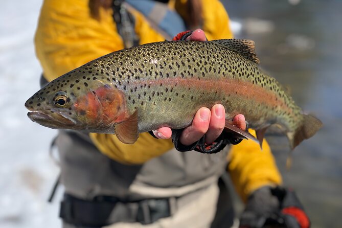 Half Day Walk and Wade Fly Fishing Trip - Included Equipment and Licenses