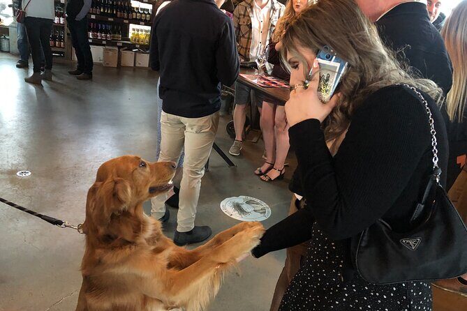 Half-Day West Kelowna Afternoon Wine tour - The Value of the Experience