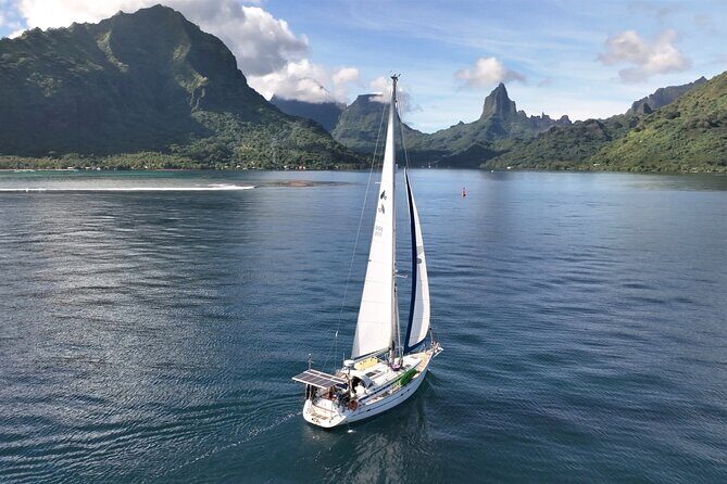 Half day whale watching - Without launch - Introduction: A Unique Sailing and Whale-Watching Experience in Moorea