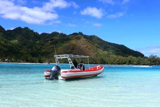 Half day whale watching | Without launch - Who Will Love This Tour?